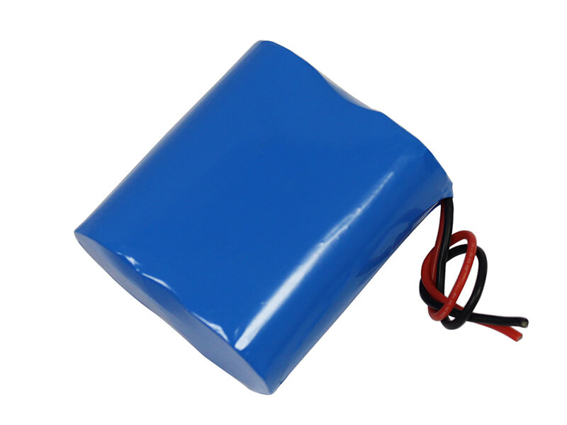 6V 6Ah Lithium Battery for Emergency Light – Polinovel
