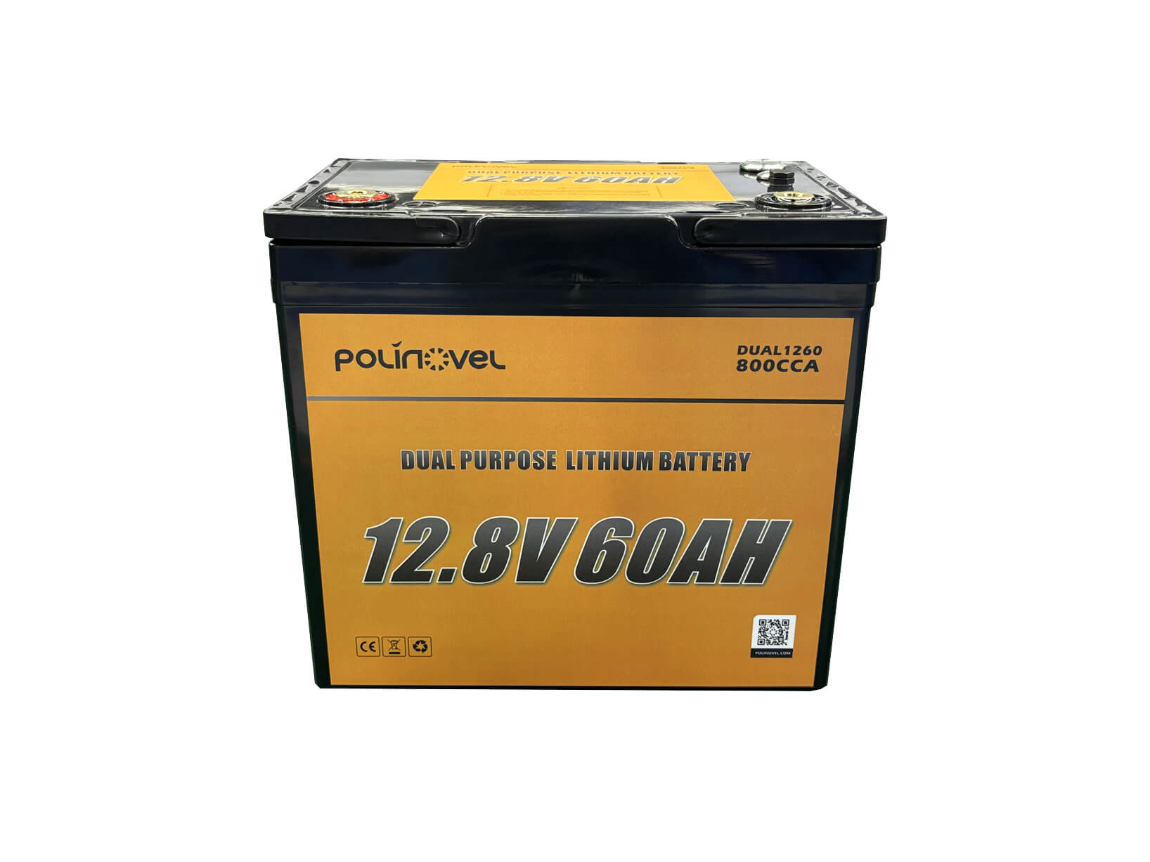 Polinovel 12V 60Ah Dual Purpose Lithium Battery with M8 Terminals